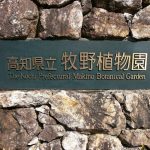 牧野植物園：高知市五台山～ラン展に行ってきた。是非訪れて欲しい観光スポット（大人推奨）