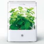 HYPONeX（ハイポネックス）購入～野菜の栽培＆LED電気照明水耕栽培キット用に使う