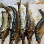 土佐の豊穣祭2015仁淀川：吾川郡いの町～今年初の鮎を食べて来ました