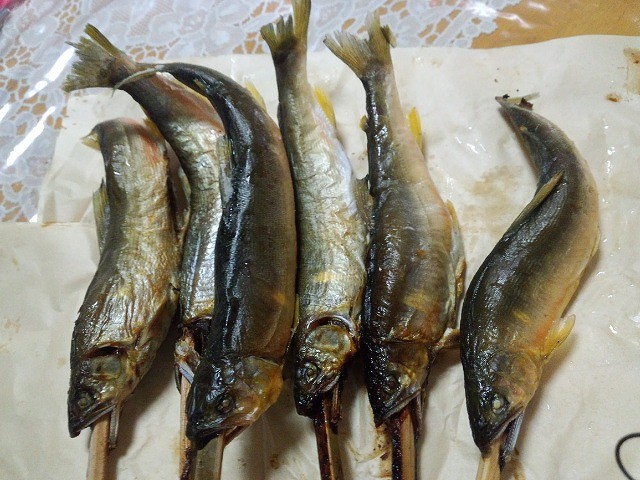 土佐の豊穣祭2015仁淀川：吾川郡いの町～今年初の鮎を食べて来ました