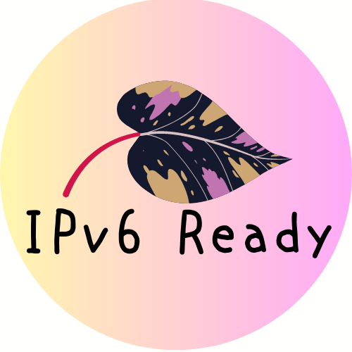 IPv6 Ready